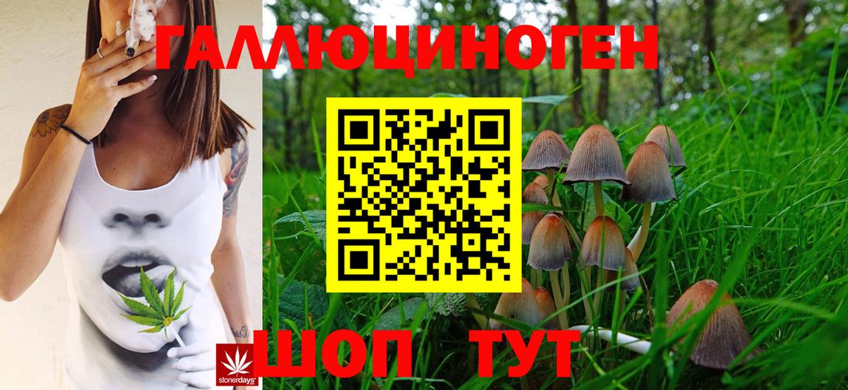 Псилоцибиновые грибы мухоморы Подольск