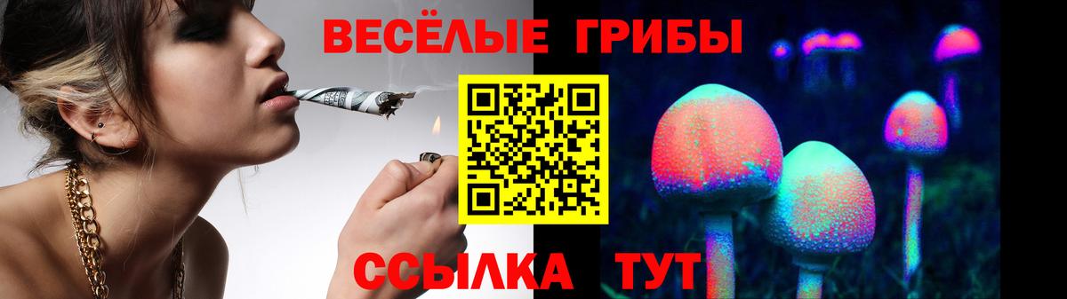 Галлюциногенные грибы Psilocybe  Вход с VPN  Подольск  Галлюциногенные грибы Magic Shrooms 